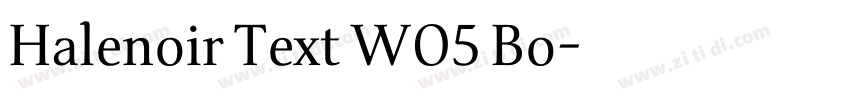 Halenoir Text W05 Bo字体转换